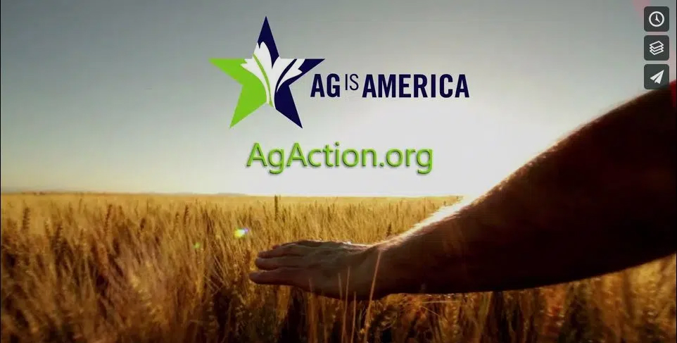 A person's hand brushes against the tops of a golden wheat field under a bright sky. Centered above is the "Ag Is America" logo—a star with a sprout inside—and the website AgAction.org.